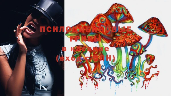 каннабис Алексин