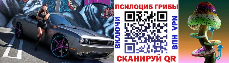 Галлюциногенные грибы Psilocybe  закладка  Шелехов 