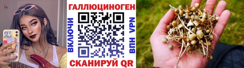 Псилоцибиновые грибы MAGIC MUSHROOMS Шелехов